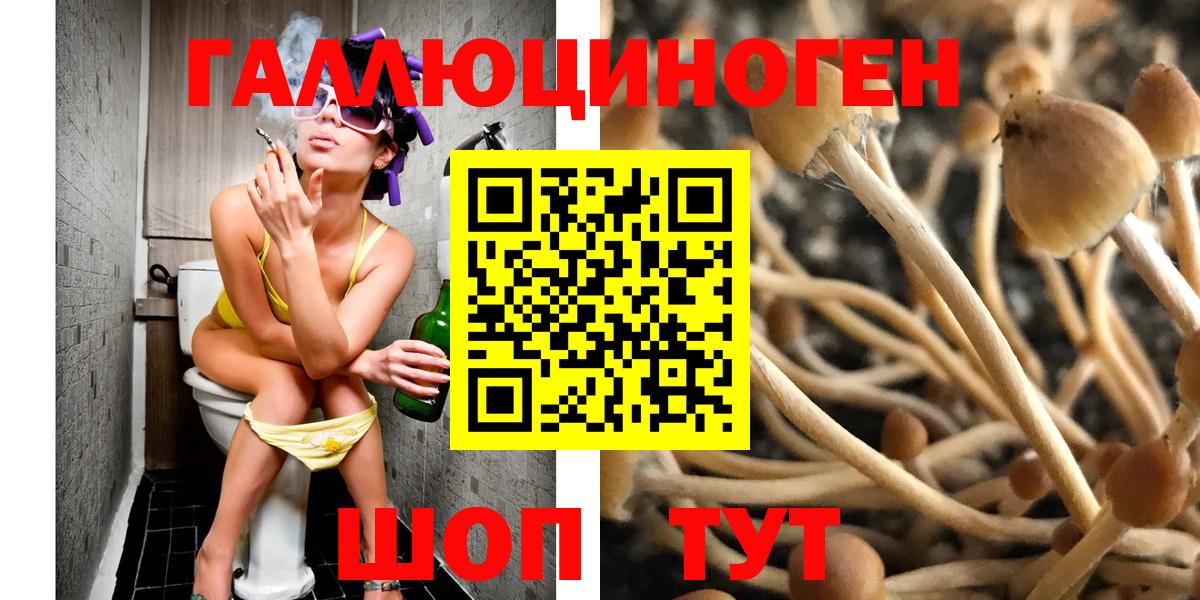 Галлюциногенные грибы прущие грибы  Псилоцибиновые грибы Psilocybe  Вход с VPN  Брянск 